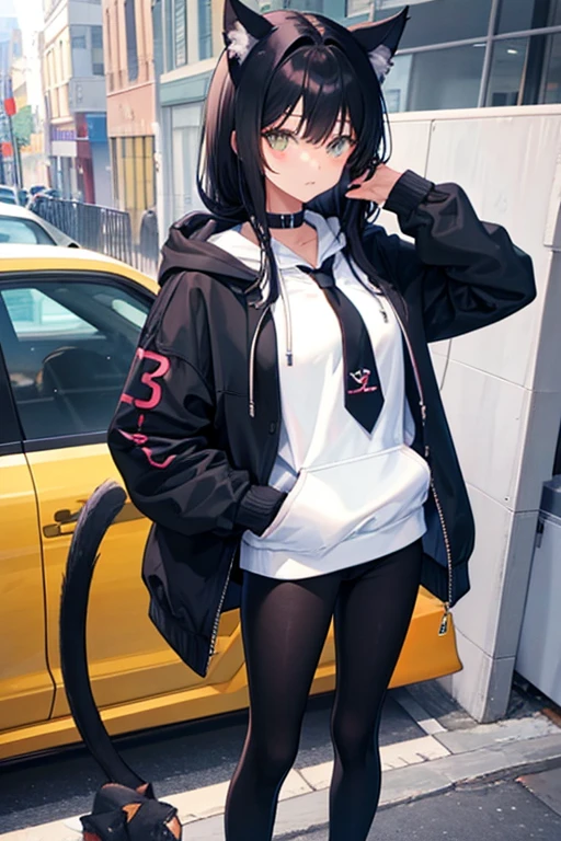 Black Hair，Hoodies，Cat ear，Girl，Poker face，tie，Standing，whole body