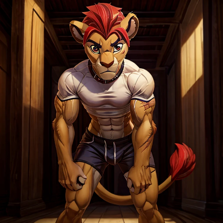 4K, a high resolution, Best quality, masterpiece, Perfect colors, perfect shadows, Ideal lighting,.slim white shirt , struggling to pull on my white shorts. тесная Apparel,шортыmasterpiece, detailed, beautiful digital art, masterpiece, 4K, small parts, Anthro, a lion, What, male, ((male род)), good quality anatomy, ((beautiful eyes)), Red Mane, ((beautiful hands, detailed hands)), (I look at the viewer), I look at the viewer, whole body, anime style, from NOMMZ, by Heichel, Oyuki Benten.The collar is worn around the neck. , Member, big tail, blushing, Slim, болишой Member,, soft shading, perfect anatomy, Ideal lighting, perfect focus, Bright, 1 boy, fluffy, fluffy кот, Anthroпоморфный, male, scales in tone, very big,Soft fur, detailed body, .очень high,slender, full length, there is fur,, pumped up, Slim,, , muscular, in the room, , ,submission, , high, , full length, very big рост, ,visible abs, очень pumped up, , standing, ,sweaty，Especially a lot of scars:2，Lots of scars,,afraid of the owner, boy 18 years old, very pumped up, obedient whore, broken,musculature, , personal slave, gay, a fag, kion pet, get caught by an observer, ,Slim, very Slim, very thin waist, Cute, muscular, fluffy hair, Suffocates, the collar is very tight, pain, ,очень pumped up,lean forward towards the viewer, lean towards the viewer,,wants to please the viewer , очень pumped up,очень pumped up, Dominant, Very Close to the Viewer, worth it, очень pumped up, очень pumped up, Dominant, Very Close to the Viewer,очень pumped up, , very strong，muscle,, in shorts,,  Apparel, In a shirt, Inconveniently,, cum right in my panties, macro growth, болишой Member,shows butt,Cozy atmosphere,can be touched anywhere kiona. wants to guess,Flirting,inflection, painшие бицепсы,vest.