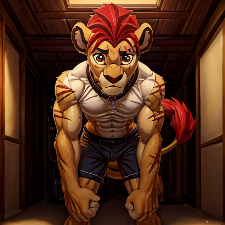 slim white shirt , struggling to pull on my white shorts. тесная Apparel,шортыmasterpiece, detailed, beautiful digital art, masterpiece, 4K, small parts, Anthro, a lion, What, male, ((male род)), good quality anatomy, ((beautiful eyes)), Red Mane, ((beautiful hands, detailed hands)), (I look at the viewer), I look at the viewer, whole body, anime style, from NOMMZ, by Heichel, Oyuki Benten.The collar is worn around the neck. , Member, big tail, blushing, Slim, болишой Member,, soft shading, perfect anatomy, Ideal lighting, perfect focus, Bright, 1 boy, fluffy, fluffy кот, Anthroпоморфный, male, scales in tone, very big,Soft fur, detailed body, .очень high,slender, full length, there is fur,, pumped up, Slim,, , muscular, in the room, , ,submission, , high, , full length, very big рост, ,visible abs, очень pumped up, , standing, ,sweaty，Especially a lot of scars:2，Lots of scars,,afraid of the owner, boy 18 years old, very pumped up, obedient whore, broken,musculature, , personal slave, gay, a fag, kion pet, get caught by an observer, ,Slim, very Slim, very thin waist, Cute, muscular, fluffy hair, Suffocates, the collar is very tight, pain, ,очень pumped up,lean forward towards the viewer, ,,wants to please the viewer , очень pumped up,очень pumped up, Dominant, Very Close to the Viewer, worth it, очень pumped up, очень pumped up, Dominant, Very Close to the Viewer,очень pumped up, , very strong，muscle,, in shorts,,руками in trousers, руки in trousers, Apparel, In a shirt, Inconveniently,, macro growth, болишой Member,shows butt, in trousers, Facial expression: embarrassment, your , comics