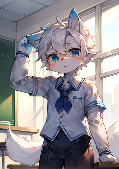 4k，Best quality，classroom，In class，Wolf Orc，White hair，young，Light blue school uniform，boy，cute，young，Sunlight。