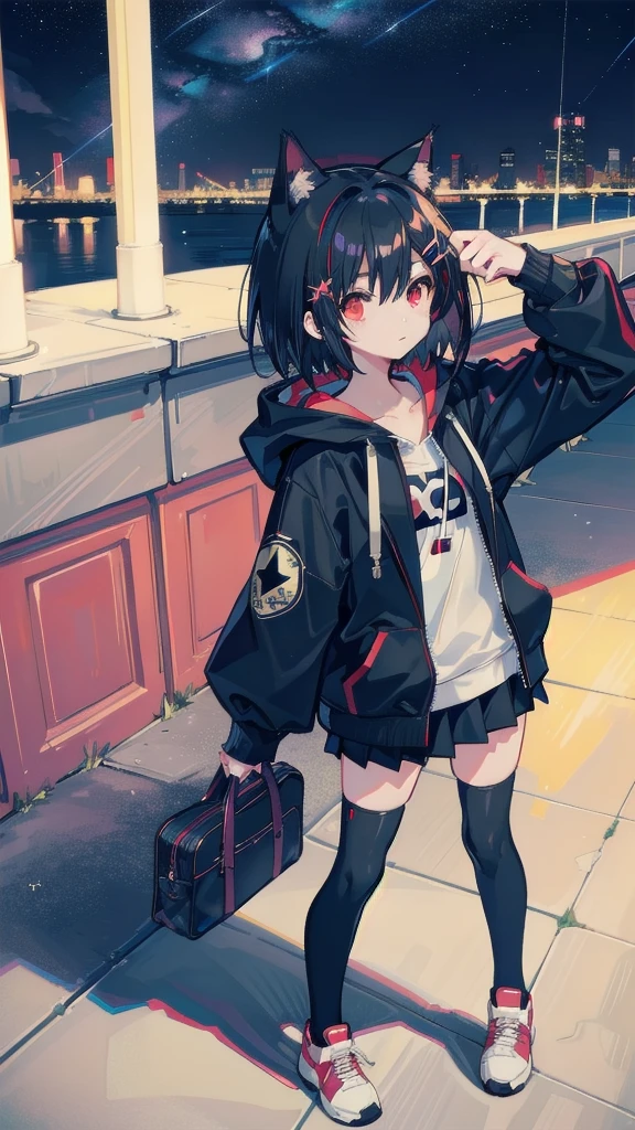 zettai ryouiki, Hoodie,short hair, Black hair, Flat chest, 1girl, Red eyes,teens girl,hair pin,Solo,full body, highres,blue sky,City,Looking up at the shining star,Looking up at the sky,night,Starry Sky,Shining Milky Way,moon,one cat