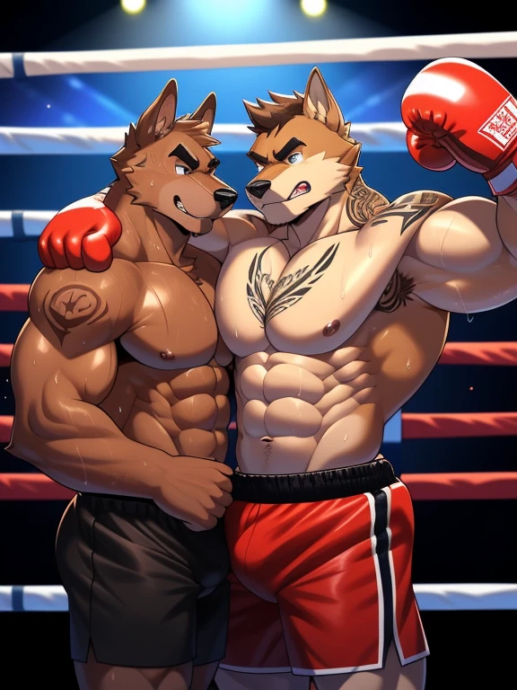 Two male fighters(Brown Dog vs Brown Dog, handsomes, perfect eyes, Thick eyebrows), gay(cuddling embraced, flexing abs, in a boxing match), hot(Both are Shirtless, full body, bulges), handsomes(They are handsomes, correct anatomy), musculosos(Big muscle bodies, Six packs, muscle abs, big pecs, muscle backs), sweaty(very sweaty wet bodies, shiny sweat), tatuajes(they have tattoos), Angry(They have an angry expression),boxing gloves(They both are wearing red boxing gloves), boxers(both are wearing Black boxers), Hight resolution