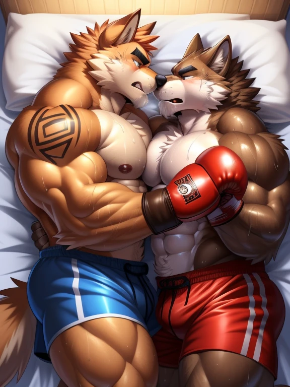 Duo male(Brown Wolf vs Brown Wolf, handsomes, Thick eyebrows), gay(Lying down, body on body, cuddling embraced, kissing each other, on a bed match), hot(Shirtless), handsomes(They are handsomes, correct anatomy), musculosos(Big muscle bodies, Six packs, muscle abs, big pecs, muscle backs, muscle legs), sweaty(very sweaty wet bodies, shiny sweat), tatuajes(they have tattoos), Angry(Both have an angry expression, growling, steaming breath), Boxing gloves(They both are wearing red boxing gloves), Boxing shorts(They both are wearing boxing shorts), Hight resolution, by(Arashi Takemoto:1.1)