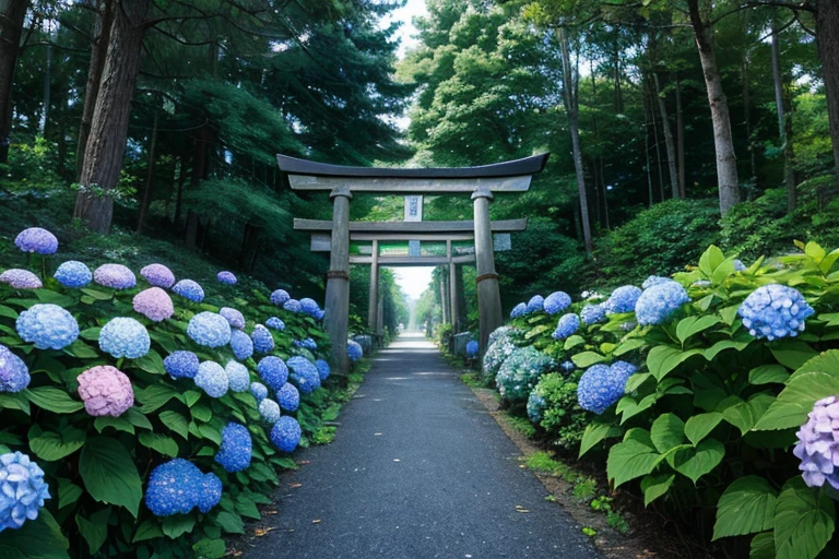 torii, hydrangea, forest