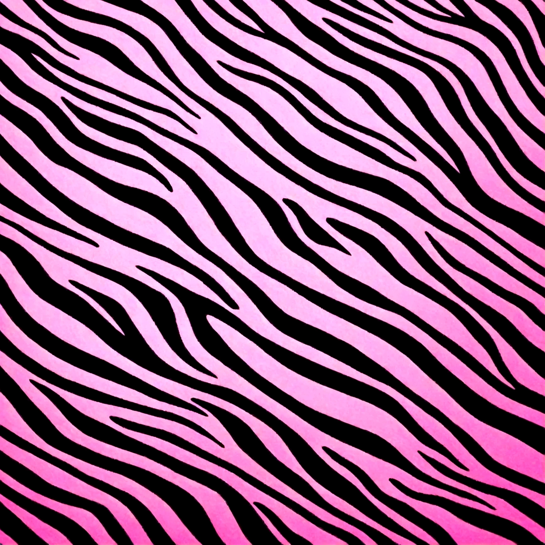 a gaudy pink and black zebra striped backround