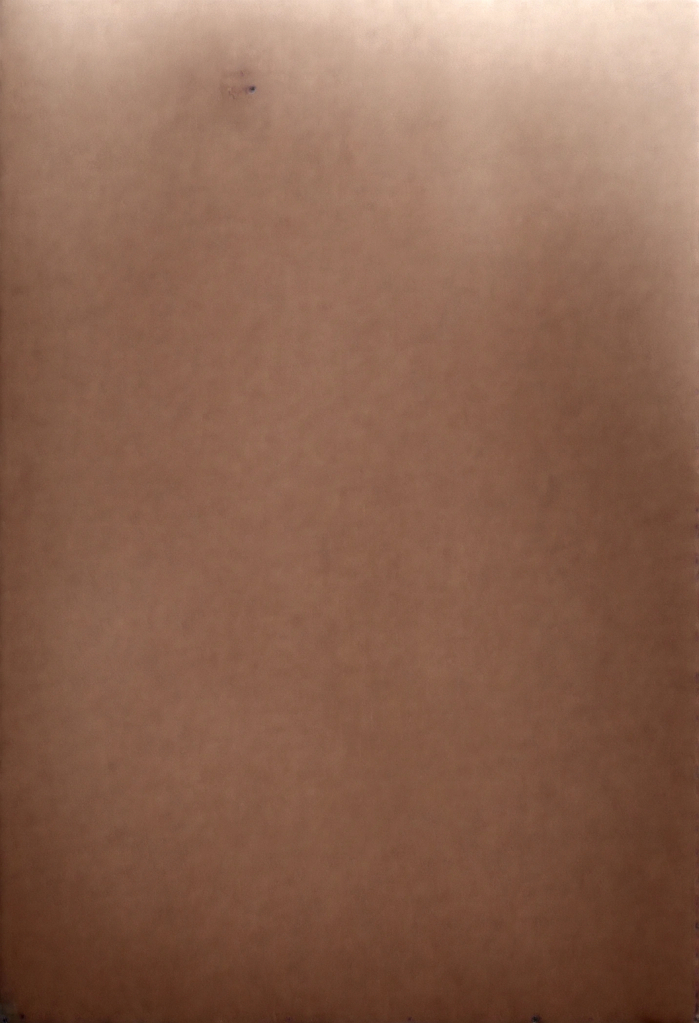 Generate a hyper-realistic, high resolution (4K or higher) Fille jeune americaine, avec destaches de rousseurs sur les joues, in a realistic house, dans la vrai vie, she has straight brown hair and a fairly rounded mouth, tanned, irl, Realistic photo, in the real world, avec des gros seins,