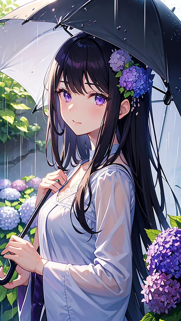 morning,hydrangea,rain,Umbrella,Beauty,Wet,Black Hair,Purple Eyes,hydrangeaの髪飾り