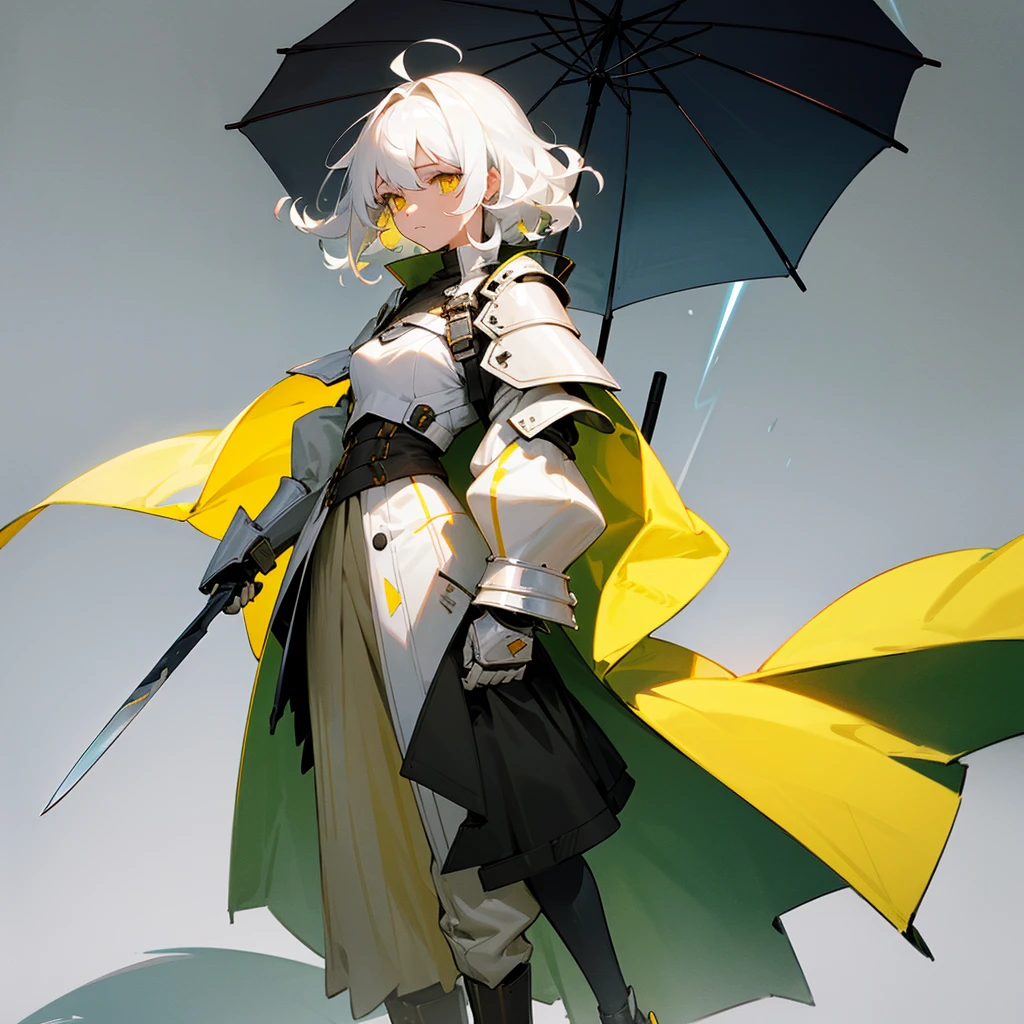 Girl height 160, with white hair curly in the wind, yellow eyes, there are cracks on the right side of the face, wears a raincoat, light armor, and also a large white knife, left hand white, she is wearing light boots with protection, does not show emotion on his face, 