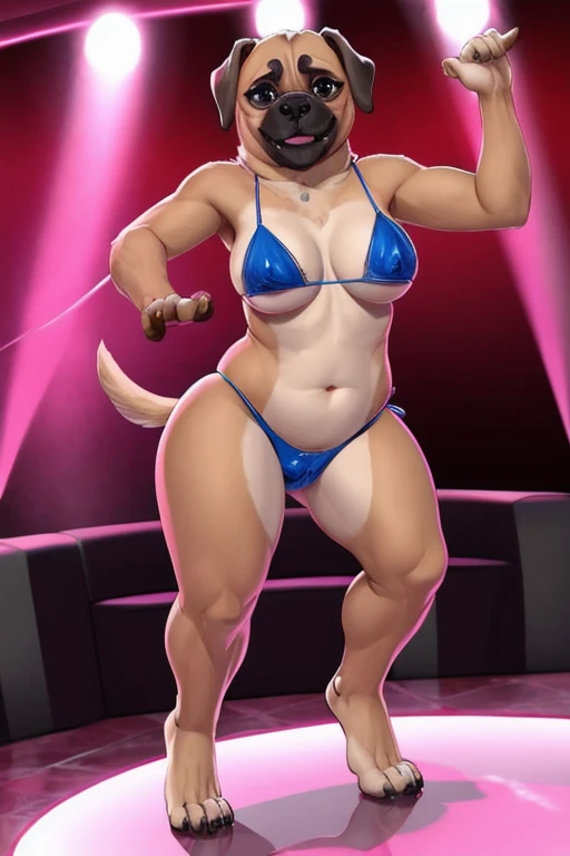 Pug stripper bikini dancing