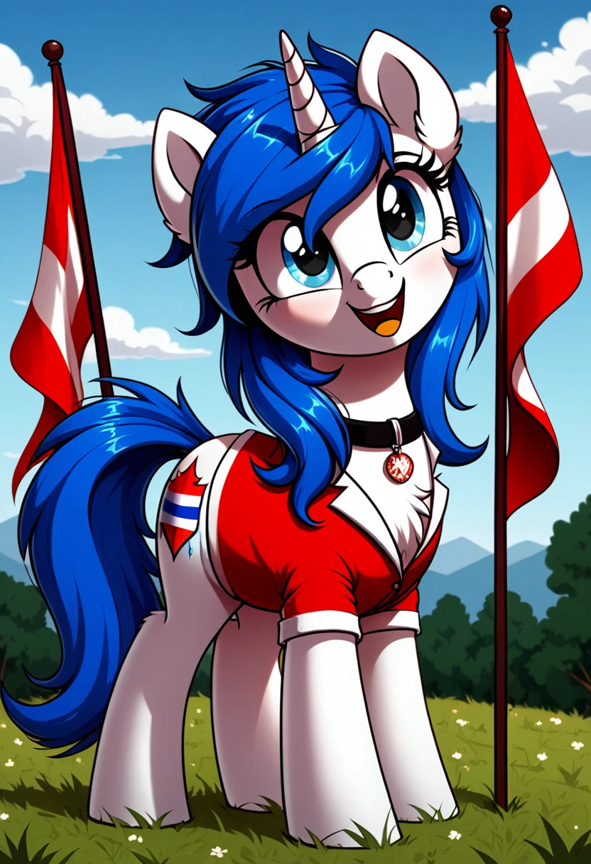 Mlp oc flag us