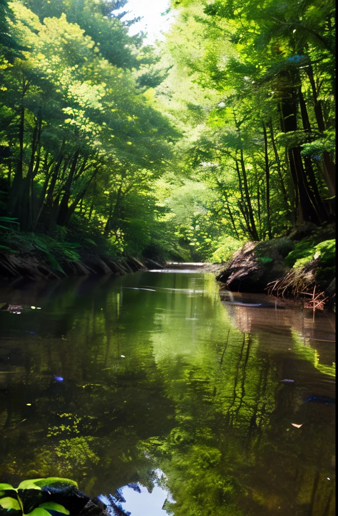 in a quiet forest、water surface