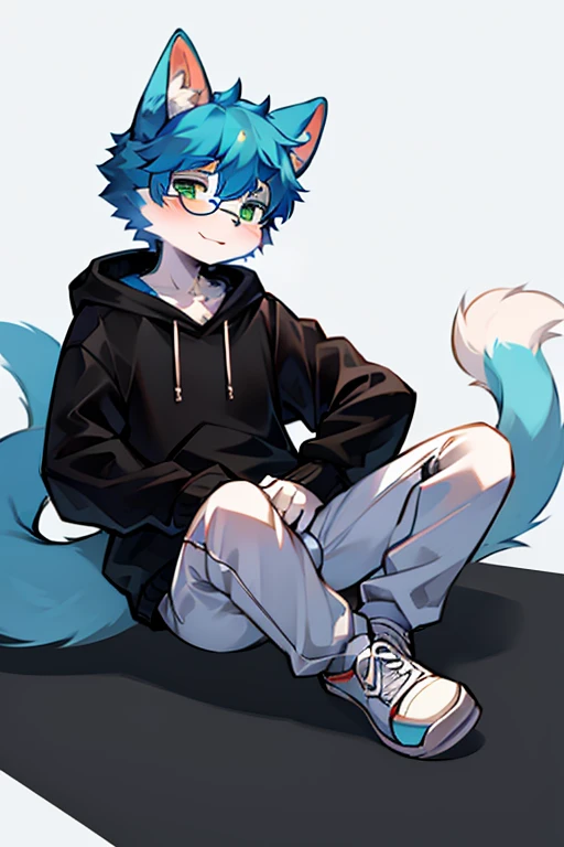 (Best quality,4k,8k,high resolution,masterpiece:1.2),Ultra Detail,Blue short hair,Fluffy,cute,illustration,Shota,number,Vibrant colors,Surreal,Pastel color palette,Soft lighting,hairy,Cat,Cat耳朵,Cat尾巴,Green Eyes,male,Long Tail,personification,Blue fur,Black Hoodie,White trousers,White background plate,wear glasses,White shoes,hairy艺术风格,sit on the floor)