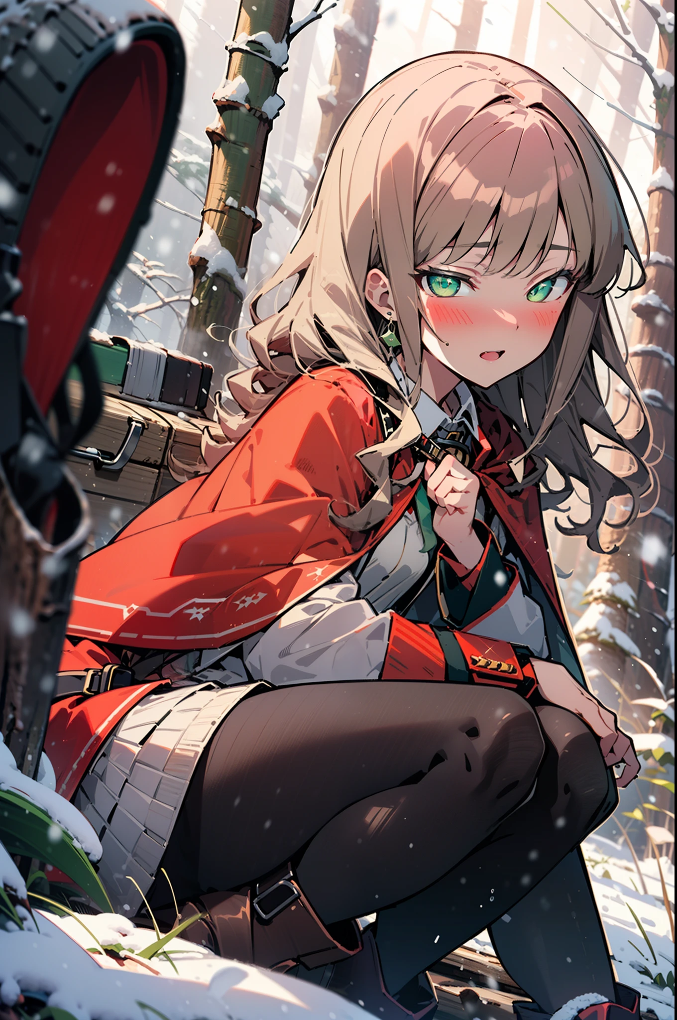 minami yume ,sss Dynazenon ,Long Hair, Brown Hair, (Green Eyes:1.5) ,Center of chest,hair band,smile,blush,White Breath,
Open your mouth,snow,Ground bonfire, Outdoor, boots, snowing, From the side, wood, suitcase, Cape, Blurred, , forest, White handbag, nature, Squat, Mouth closed, Cape, winter, Written boundary depth, Black shoes, red Cape break looking at viewer, Upper Body, whole body, break Outdoor, forest, nature, break (masterpiece:1.2), highest quality, High resolution, unity 8k wallpaper, (shape:0.8), (Beautiful and beautiful eyes:1.6), Highly detailed face, Perfect lighting, Extremely detailed CG, (Perfect hands, Perfect Anatomy),