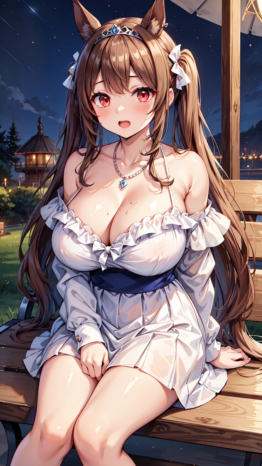 fat woman、huge breasts、Horse ears、brown hair、very long twintail、sexy red eyes、Double teeth、necklace、tiara、White off-shoulder、Blue and white checkered long skirt、Night Park、Sit on a bench