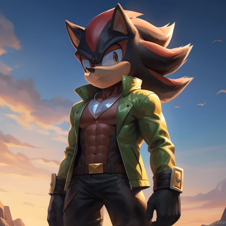 Shadow the Hedgehog, drip jacket, gigachad, looking to the left, masterpiece, UHD