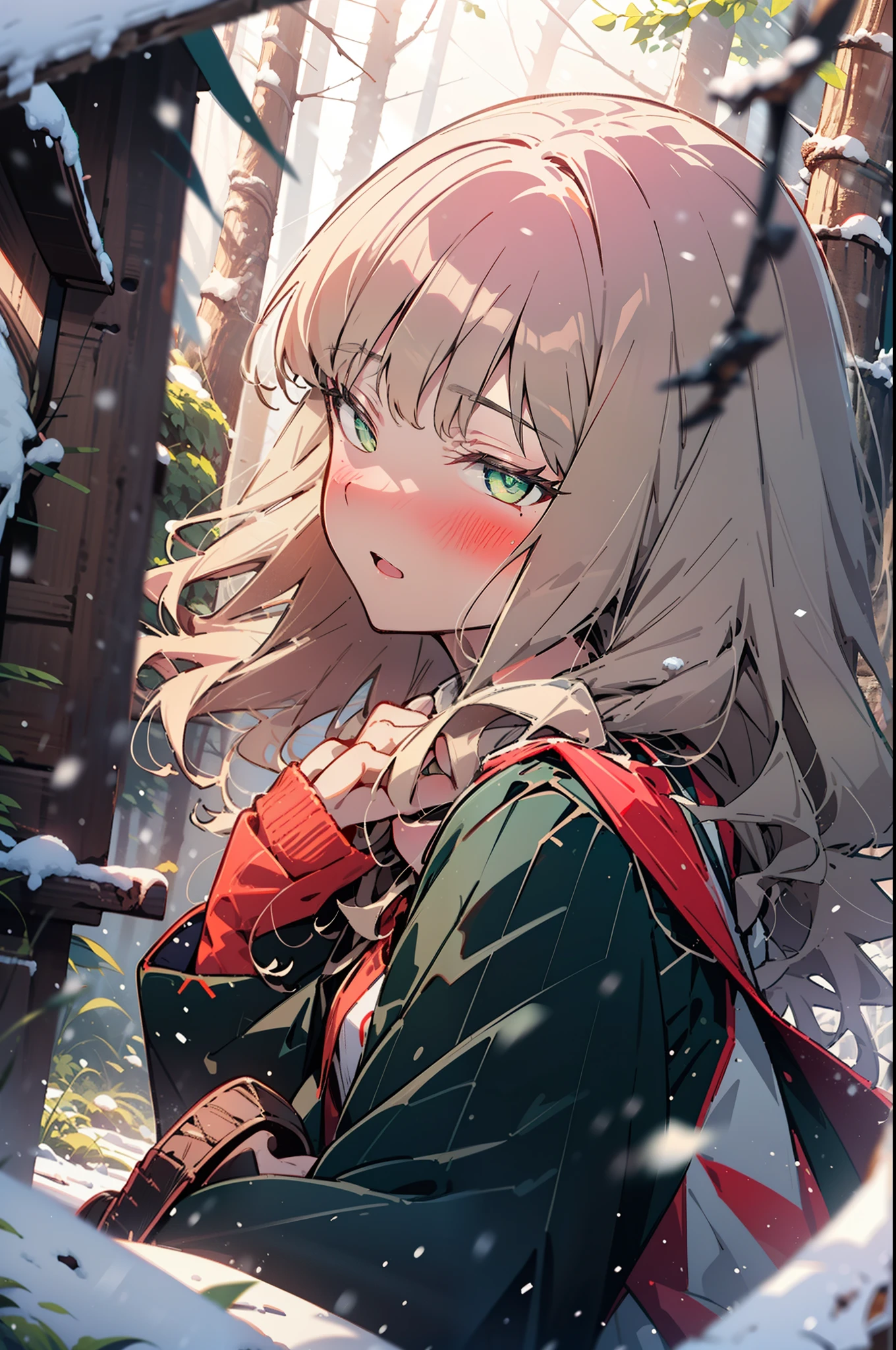 minami yume ,sss Dynazenon ,Long Hair, Brown Hair, (Green Eyes:1.5) ,Center of chest,hair band,smile,blush,White Breath,
Open your mouth,snow,Ground bonfire, Outdoor, boots, snowing, From the side, wood, suitcase, Cape, Blurred, , forest, White handbag, nature, Squat, Mouth closed, Cape, winter, Written boundary depth, Black shoes, red Cape break looking at viewer, Upper Body, whole body, break Outdoor, forest, nature, break (masterpiece:1.2), highest quality, High resolution, unity 8k wallpaper, (shape:0.8), (Beautiful and beautiful eyes:1.6), Highly detailed face, Perfect lighting, Extremely detailed CG, (Perfect hands, Perfect Anatomy),