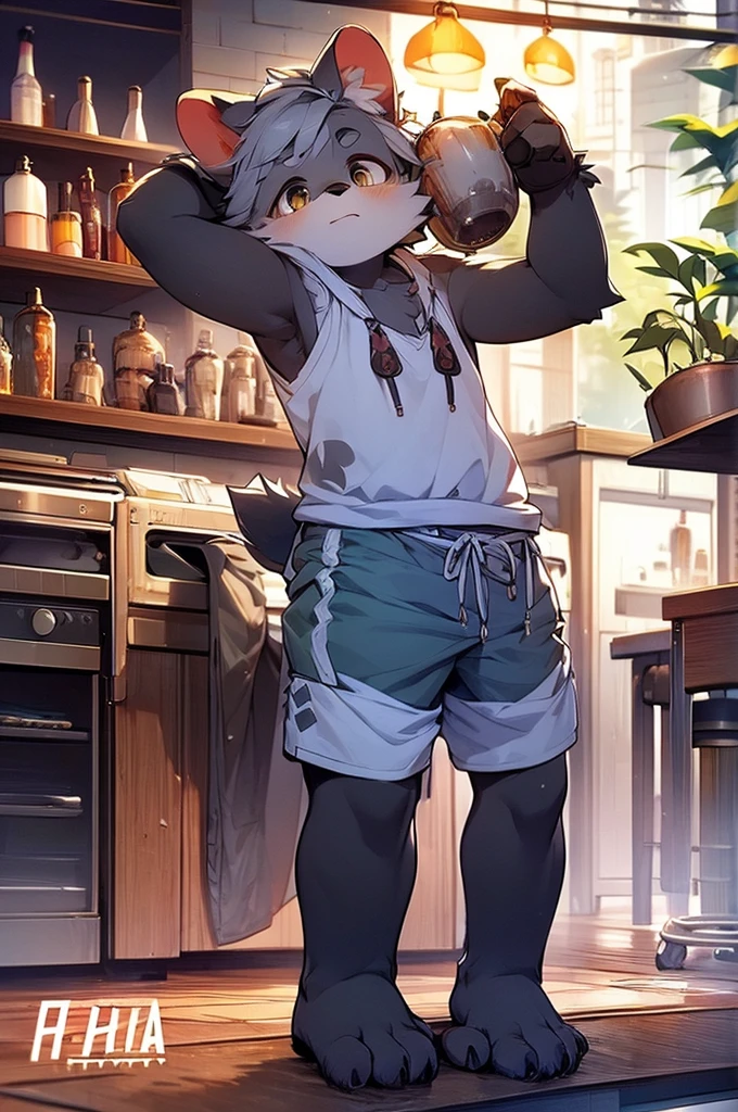 Hyena Boy，Gray fur，Topless, mammal, hairy，Gray Eyes，bar，barefoot，moon tattoo，Cover your crotch with your hands，Bartender，Star decoration，Transparent swimming trunks quality