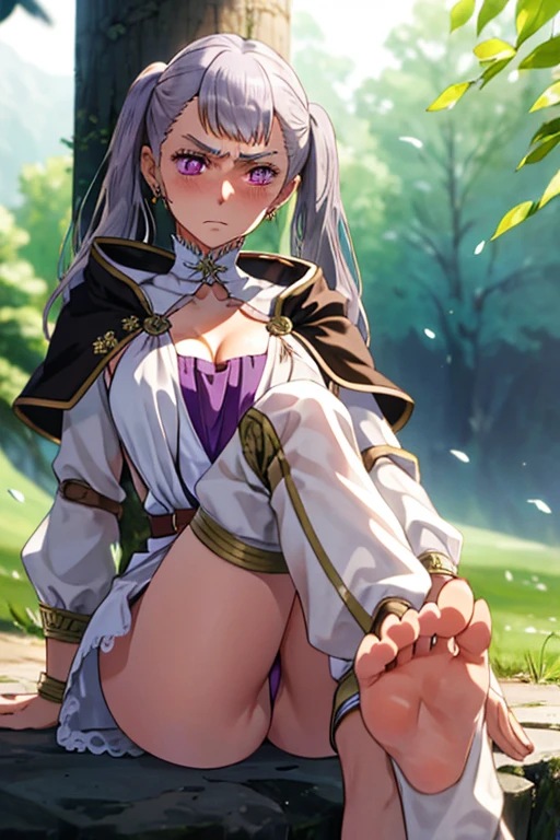 1girl, cowboy shot, beautiful noelle_silva,long hair ,twintails, bangs, earring,jewelry, silver hair,purple eyes, mage_dress,white dress, cleavage, capelet,long sleeves, water, large breast ,angry,frown ,outdoor, front light, volumetric lighting, best quality, masterpiece, intricate details, tonemapping, sharp focus, hyper detailed, sitting ,raise feet up,legs up, feet no shoes,sweaty feet,lick feet,blush