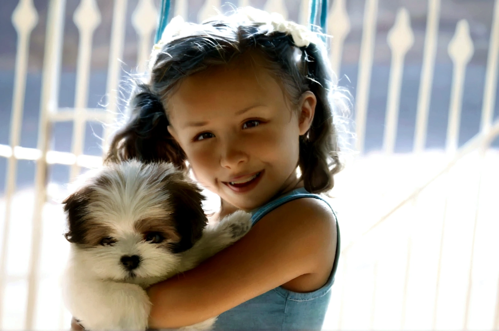 there is a holding a small Cachorro in her arms, segurando seu Yorkshire terrier, bonitinho, Pet, Pets, , bonitinhost, bela, bonitinhoness, comovente, beautiful bonitinho, Shih Tzu, childs, small Cachorro, visual deslumbrante, , bonitinho beautiful, adorable, bonitinho young girl, , sharp details, Cachorro, foto de retrato, bonitinho girl