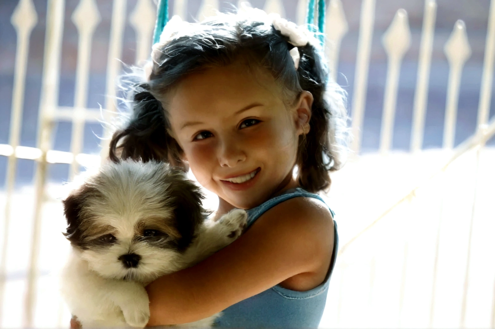 there is a holding a small Cachorro in her arms, segurando seu Yorkshire terrier, bonitinho, Pet, Pets, , bonitinhost, bela, bonitinhoness, comovente, beautiful bonitinho, Shih Tzu, childs, small Cachorro, visual deslumbrante, , bonitinho beautiful, adorable, bonitinho young girl, , sharp details, Cachorro, foto de retrato, bonitinho girl