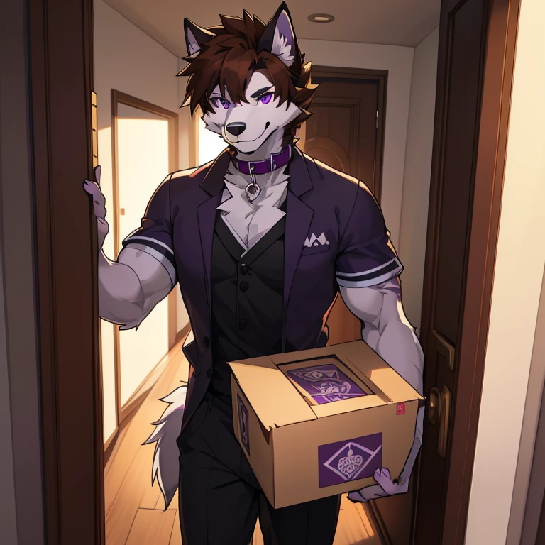 best quality, masterpiece, male, handsome , short, weak, brown antropomorfic husky with black paterns, purple eyes, scars, dog collar, with pakage delivery clothes, with one box in his hand, smile on his face, looking at the camera through a entrance door, purple face, fluffy brown and white husky tail, brown hair