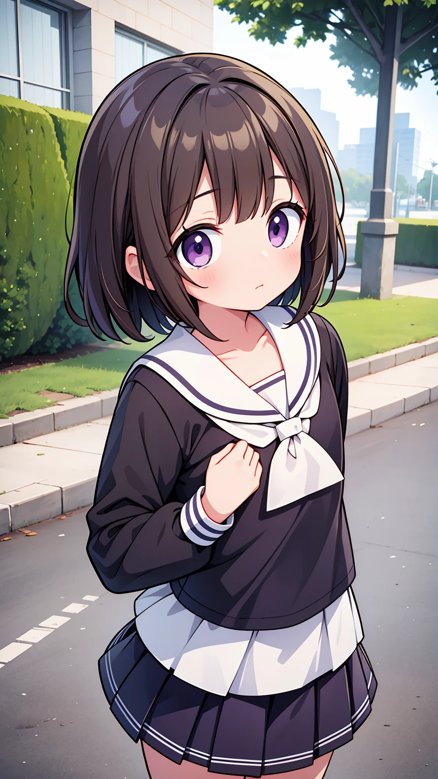 (High quality), (masterpiece), (very detailed), girl, (flat chest:1.6), short brown hair, purple eyes, shy face, primary school girl, white blouse, black skirt with pleats, (chibi:0.6), showing her thighs, on the school yard, sunny, school girl, (sailor uniform), confessing his love towards the viewer, spectator looked under her