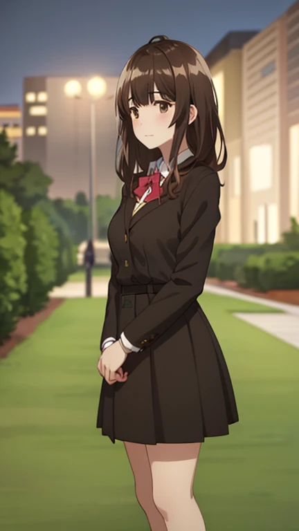 best quality, (masterpiece:1.2), highly detailed, outdoors, park, city, night,
1girl, solo, ogiwara sayu,
looking at the viewer, medium breasts, slight smile, closed mouth, (standing:1.2),
brown eyes, brown hair, long hair, school outfit