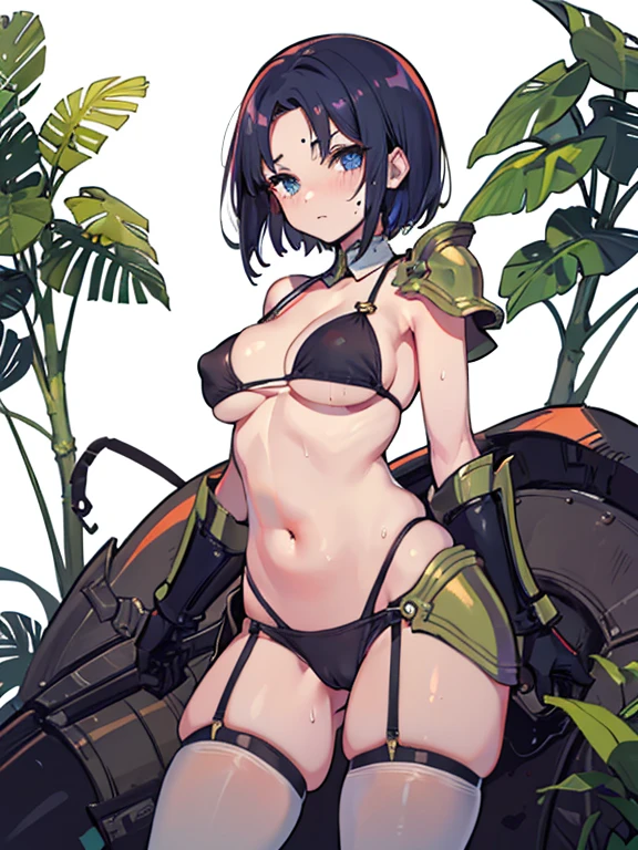 1 girl, high quality, (short hair), forehead, (medium breast), (straps on thighs:1.3), white background, plants, (stocking), (sweaty:1.1), (nipples:0.8), thick thighs, (middle Ages:1.2), (cameltoe:1.1), bikini, (cyborg), armor,