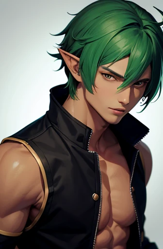 Generates anime-style images of men with pointy ears and dark skin, He has green hair and wears clothing typical of the Middle Ages.