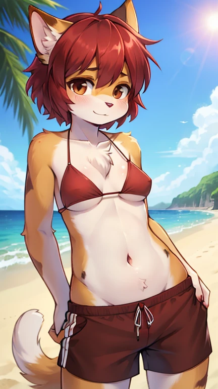 best quality, best resolution, (fluffy anthro furry), calico cat girl, maroon hair, short wavy hair, brown eyes, [[make the fur surrounding her right eye brown]], medium breast, tomboy manner, (brown bikini top, red swim trunks), standing, beach