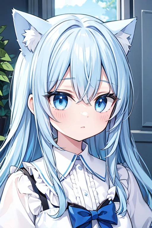 Light blue hair、long hair、Cat ear、Odd Eye