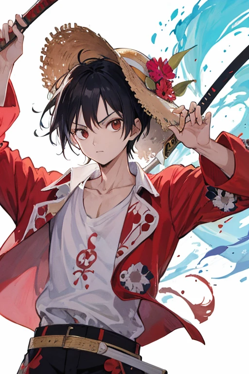 Meilleurs qualité photo, meilleur qualité illustration, Luffy avec un chapeau de paille et un katana sur le vogue merry