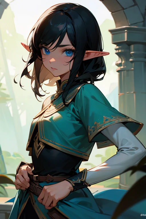 Elf, black hair, blue eyes