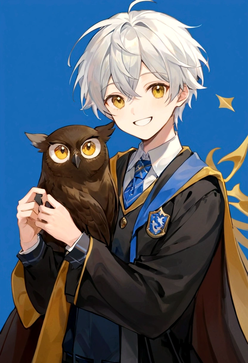 Ravenclaw uniform, Ravenclaw emblem, black robe. Beautiful face boy. Very smart. white Hair. Amber yellow eyes. Hogwarts. Cheerful. Smile. Blue clothes