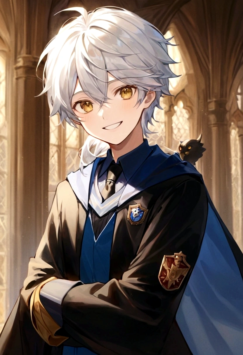Ravenclaw uniform, Ravenclaw emblem, black robe. One beautiful face boy. Very smart. white Hair. Amber yellow eyes. Hogwarts. Cheerful. Smile. Blue clothes