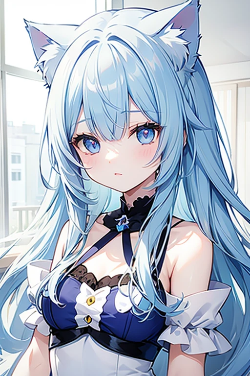 Light blue hair、long hair、Cat ear、Light blue and purple odd eyes