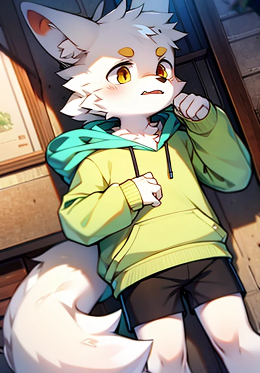 White Wolf，Wear a white hoodie