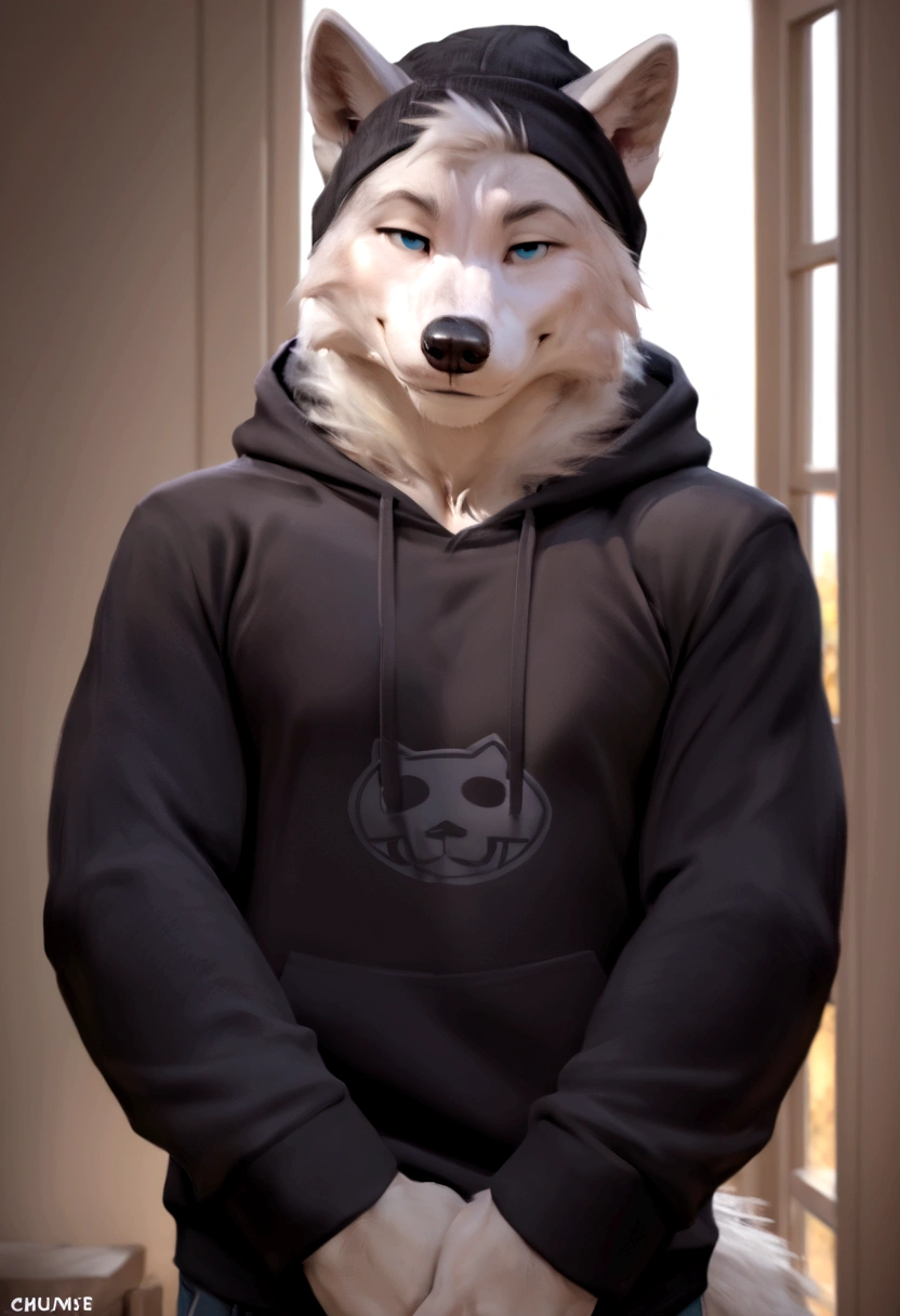 4k, high resolution, best quality, perfect colors, perfect shadows, perfect lighting, posted on e621, furry body, solo, medium full shot, anthro gray wolf, gray and white fur, sleep deprived, irritated eyes, wearing a t shirt with a death metal band logo, wearing a black open zipped down hoodie with the hood down, (anatomically correct wolf tail, detailed fingers, male, (middle-aged, mature:1.2), (skinny, average body), correct anatomy, (photorealistic fur, detailed fur, epic, masterpiece:1.2), (big modern background), (by Taran Fiddler, by Chunie, by Rukis, Bonifasko lighting), (standing), detailed blue eyes, smiling half-heartedly at the viewer, the hoodie is zipped down and showing the t shirt, the hood on the hoodie is down, t shirt is visible, head is fully visible, wearing a black beanie, he is not wearing the hood, the shirt can be seen under the hoodie