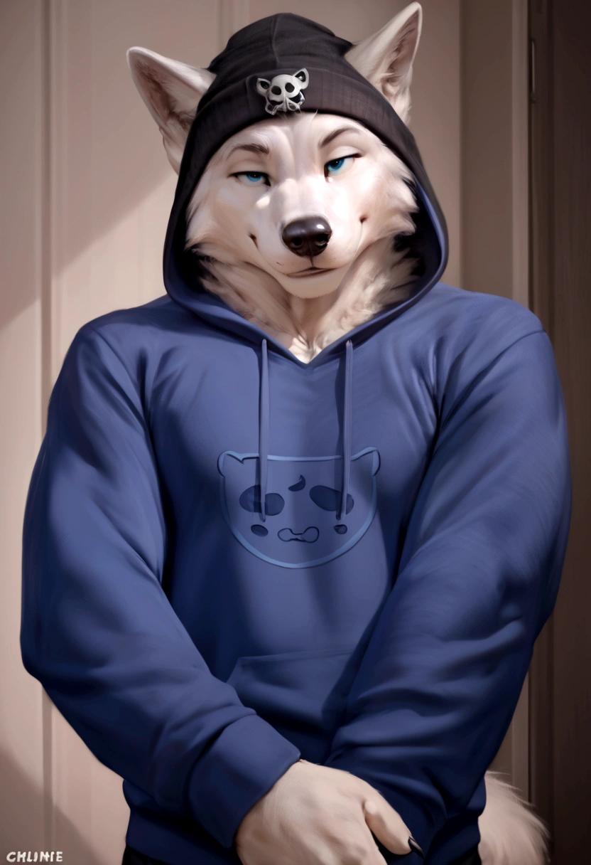 4k, high resolution, best quality, perfect colors, perfect shadows, perfect lighting, posted on e621, furry body, solo, medium full shot, anthro gray wolf, gray and white fur, sleep deprived, irritated eyes, wearing a t shirt with a death metal band logo, wearing a black open zipped down hoodie with the hood down, (anatomically correct wolf tail, detailed fingers, male, (middle-aged, mature:1.2), (skinny, average body), correct anatomy, (photorealistic fur, detailed fur, epic, masterpiece:1.2), (big modern background), (by Taran Fiddler, by Chunie, by Rukis, Bonifasko lighting), (standing), detailed blue eyes, smiling half-heartedly at the viewer, the hoodie is zipped down and showing the t shirt, the hood on the hoodie is down, t shirt is visible, head is fully visible, wearing a black beanie, he is not wearing the hood, the shirt can be seen under the hoodie