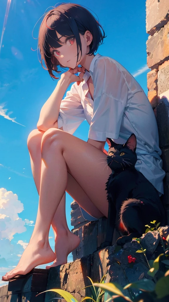 girl with short bob hair,Red eyes ,A shining heaven,in heaven,Sitting,Petting a black cat,Beautiful blue sky
