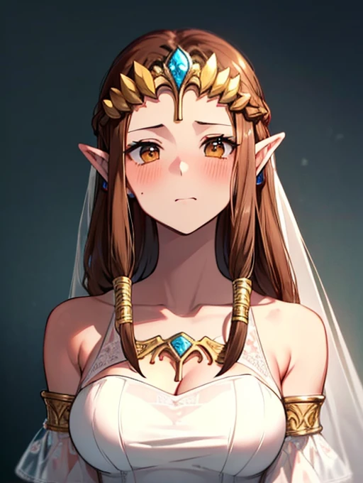 ((surprised),((Scared)),((valley)),((((Exposed shoulders)))),(((Looking up))),,(((Golden hair ornament)),,(((Long Hair)))),((Big Breasts)),((((Exposed shoulders)))),((Front Face)),Princess Zelda, ((highest quality)),,(Very detailed) ,,((Wedding dress)),Brown Hair,((Embarrassed look)),Blushing, ((highest quality)), (Very detailed), ,(((Dark brown hair))),Nintendo, (Straight hair), face,Blushing,((alone)), ((highest quality)), (Very detailed), ,