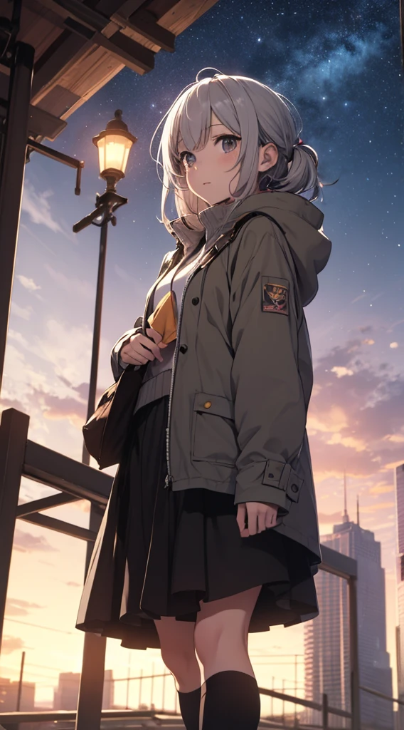 The background is the city, perfect Gray-haired girl, Lori, Gray-haired, Gray-haired god, Cute anime waifu in beautiful clothes, Gray-haired, Best Anime 4K Konachan Wallpaper, ??????????? Loli, Pixiv ArtStation の guvez, Gray-haired girl, Nightcore, Standing on a tree, Look up at the stars, The face is very detailed