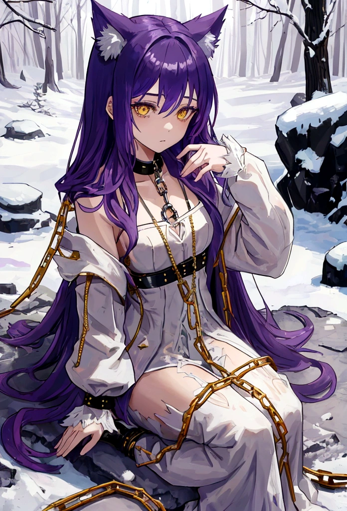 1girl, wof-girl, purple hair, long hair, wolf ears, ((chained)), white dress, outdoor, stone, rock, white skin, golden eyes, sadness expression, ((tattered clothes)), yellow eyes, sit down, winter forest, winter, snow