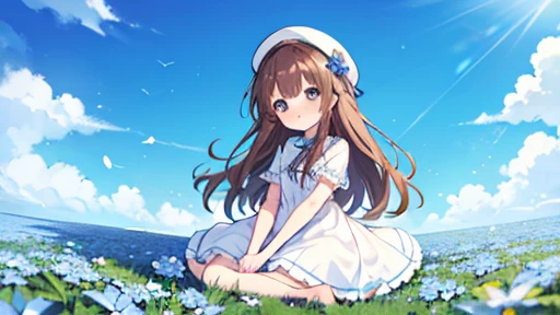 1 girl, white frill dress, blue flower field, sunlight, blue sky, summer, white beret, brown hair, blue eyes, princess long hair, short height, she sits barefoot on flowers,