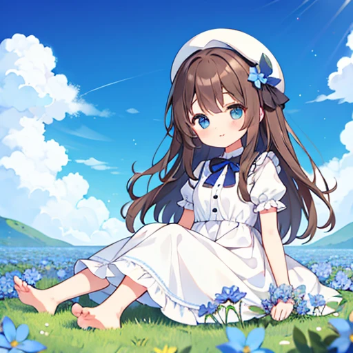 1 girl, white frill dress, blue flower field, sunlight, blue sky, summer, white beret, brown hair, blue eyes, princess long hair, short height, she sits barefoot on flowers,