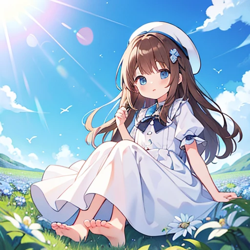 1 girl, white frill dress, blue flower field, sunlight, blue sky, summer, white beret, brown hair, blue eyes, princess long hair, short height, she sits barefoot on flowers,