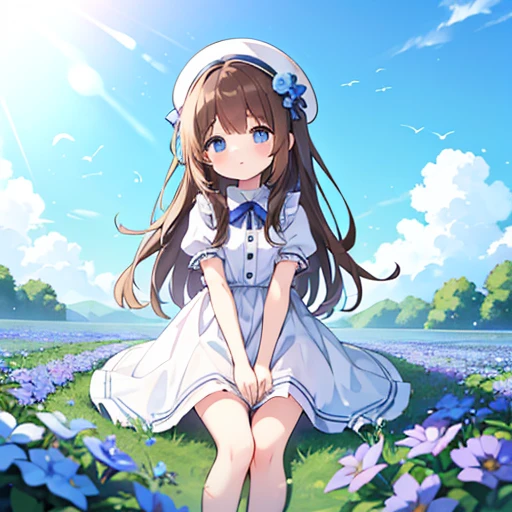 1 girl, white frill dress, blue flower field, sunlight, blue sky, summer, white beret, brown hair, blue eyes, princess long hair, short height, she sits barefoot on flowers,