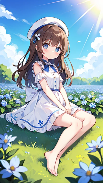 1 girl, white frill dress, blue flower field, sunlight, blue sky, summer, white beret, brown hair, blue eyes, princess long hair, short height, she sits barefoot on flowers,