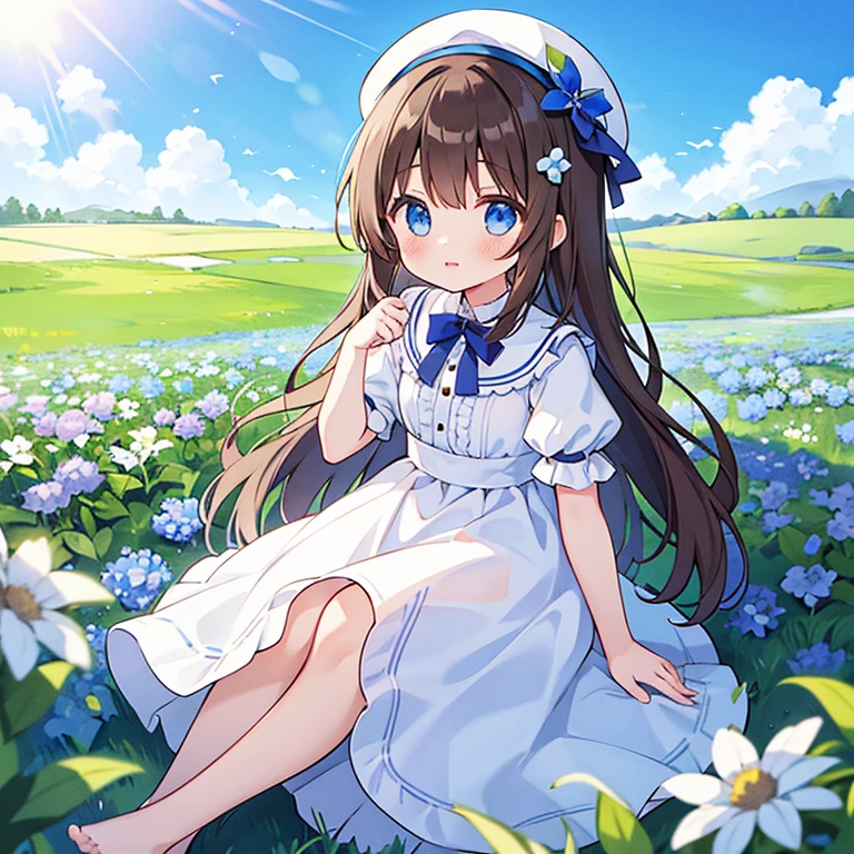 1 girl, white frill dress, blue flower field, sunlight, blue sky, summer, white beret, brown hair, blue eyes, princess long hair, short height, she sits barefoot on flowers,