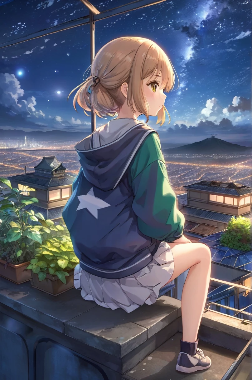 highest quality, masterpiece, Very detailed, Detailed Background, anime, 1 girl, Young girl, Short girl, sf, sf, Outdoor, night, Starry Sky, greenhouse, giant structure, Biodome, Wind景, scenery, horizon, rooftop, sitting on rooftop, Wind, avert your eyes, Atmospheric lighting, Focus Only, close, From the side, Written boundary depth, Bokeh, Shooting from behind, The clothes are tight and the figure is clearly visible, ((Draw your fingers carefully:1.5))